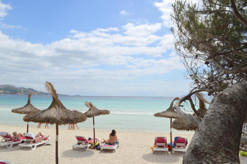 Brisa Marina Guest house Port de Alcudia (Mallorca)